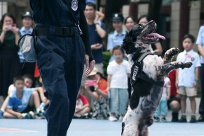 九游官网下载 -德国杯最新比赛消息