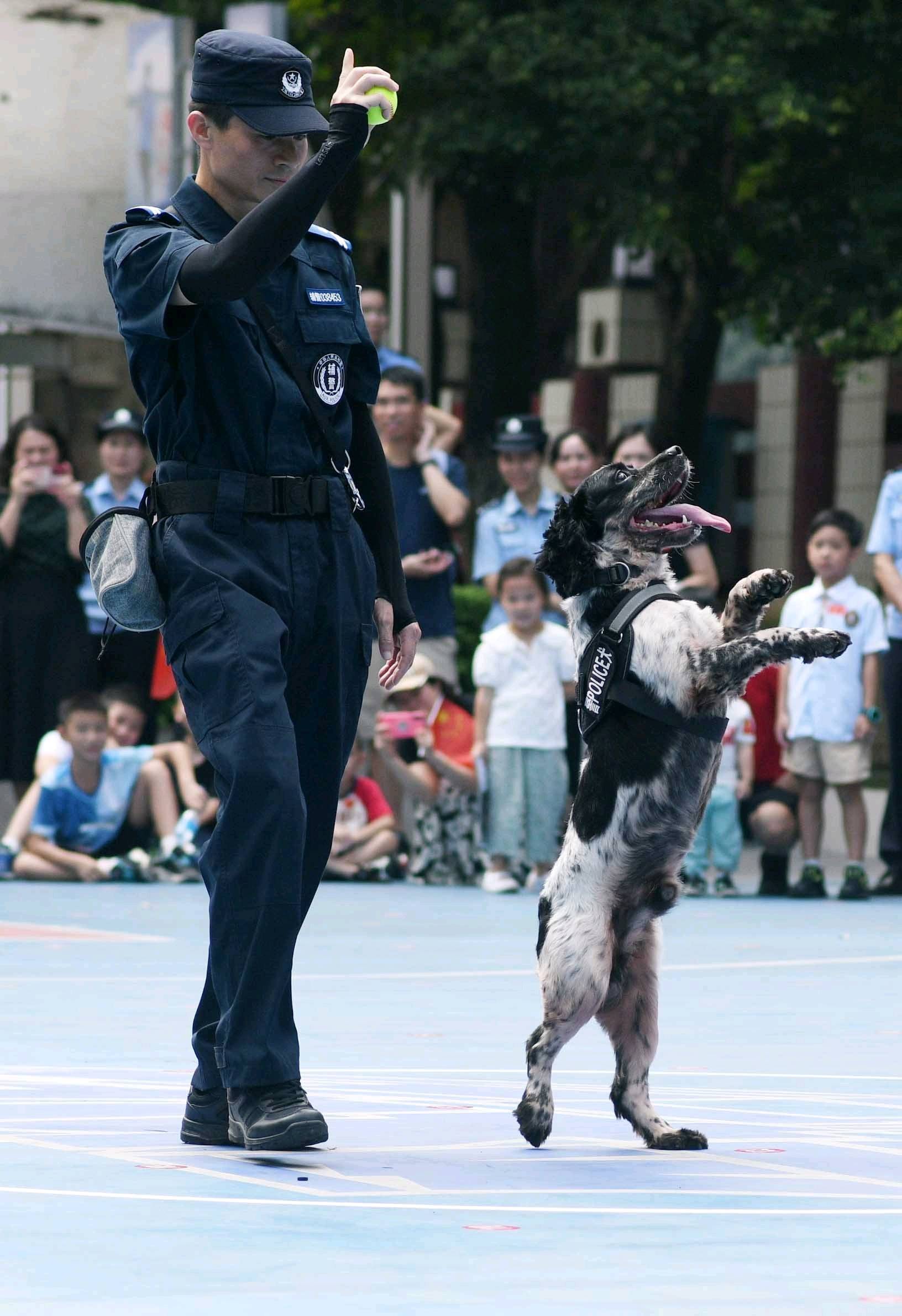 德国杯最新比赛消息